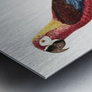 Cuban red macaw  Metal print