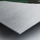 Swift parrot Metal print