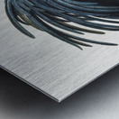 Goliath cockatoo  Metal print