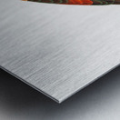 Brown-necked parrot  Metal print