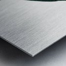 Blue-fronted amazon  Metal print