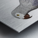 Congo grey parrot  Metal print
