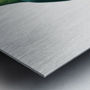 Ring-necked parakeet  Metal print