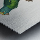Tui parakeet  Metal print