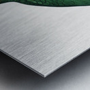 Rose-throated parrot  Metal print