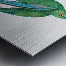 Marigold parakeet Metal print