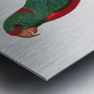 Jardines parrot  Metal print