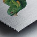 Sumba lorikeet  Metal print