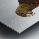 Uncape parrot  Metal print