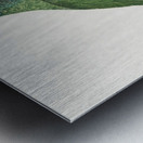 Red-bellied macaw  Metal print