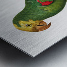 Yellow-crowned amazon  Metal print