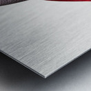 African grey parrot  Metal print