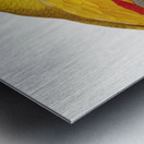 African grey parrot  Metal print