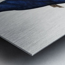 Sparman parakeet  Metal print