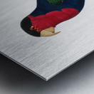 Western black-capped lory  Metal print