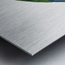 Illigers macaw  Metal print