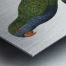 Quaker parrot  Metal print
