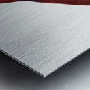 Eclectus parrot  Metal print