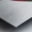 Red-and-blue lory  Metal print