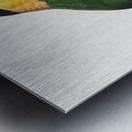 Black-Headed Parrot  Metal print