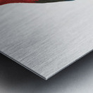 Scarlet macao  Metal print