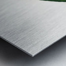 Blue-fronted amazon  Metal print