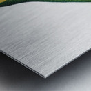 Yellow-shouldered amazon  Metal print