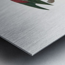 Red-throated conure  Metal print