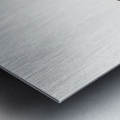 Ingambe parakeet  Metal print