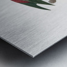 Red-throated conure  Metal print