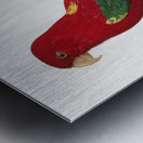 Chattering lory  Metal print