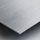 Broad-tailed parrot  Metal print