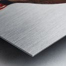 Mascarine parrot  Metal print