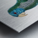 Eclectus parrot  Metal print