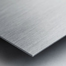 Crimson shining parrot  Metal print