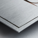 Fire Flaire Raja Pastinaca Metal print