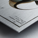 1. Chaetodon macrolepidotus 2. Chaetodon cornutus Metal print