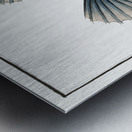 Lump Cycloterus lumpus Metal print