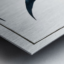 Chaetodon glaucus Metal print