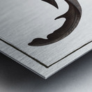 Balance Fish Squalus Zygaena Metal print