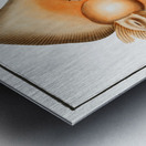 Sharp Nosed-Ray Raja Oxyrinchus Metal print