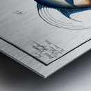 1.Chaetodon aureus 2. Silver Fish Zeus Vomer Metal print