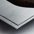 Porpesse Delphinus Phocoena Metal print