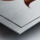 Surgeon Chaetodon Chirurgus Metal print