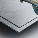 Salmon Salmo Salar Metal print