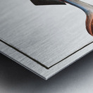 Great Sturgeon Acipenser Huso Metal print