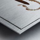 Rough Ray Raja Rubus Metal print