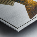 Royal-Carp Rex Cyprinorum Impression metal