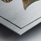 Chaetodon guttatus Metal print