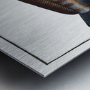 Wolf Fish Anarihchas Lupus Metal print